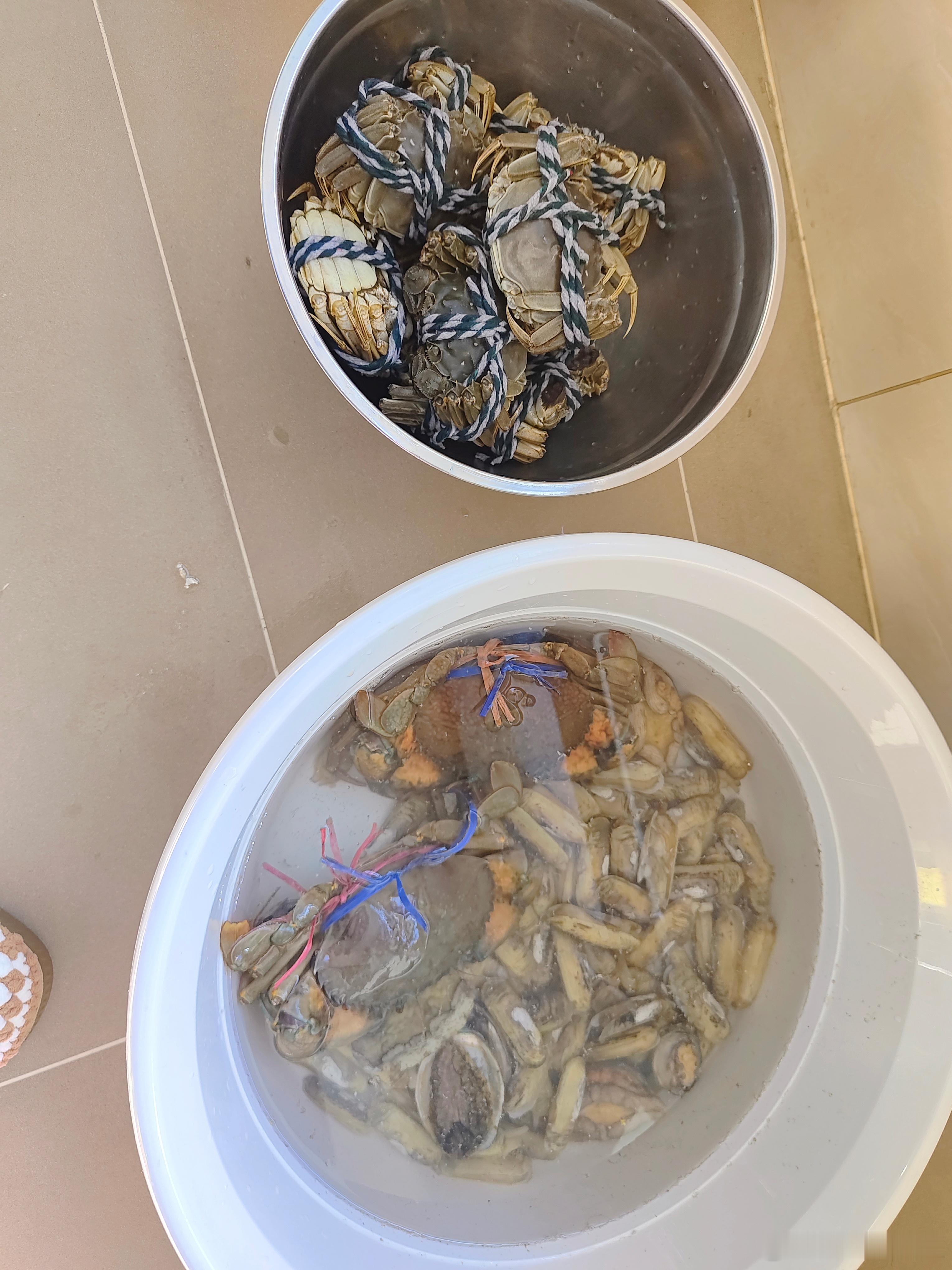 小螃蟹20元一只，大螃蟹90元一只。[羞嗒嗒][羞嗒嗒][羞嗒嗒] 