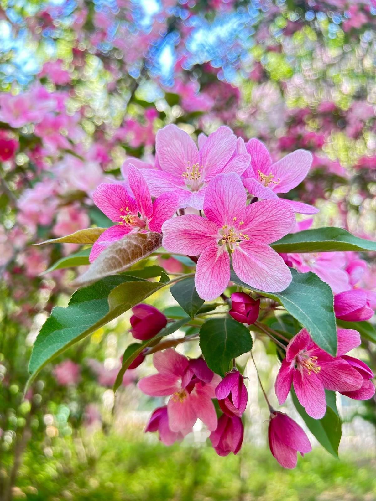 母亲节老公带她去过节，结果来活了，两人工作完就回家了。
这事你能说是糟心吗？我看