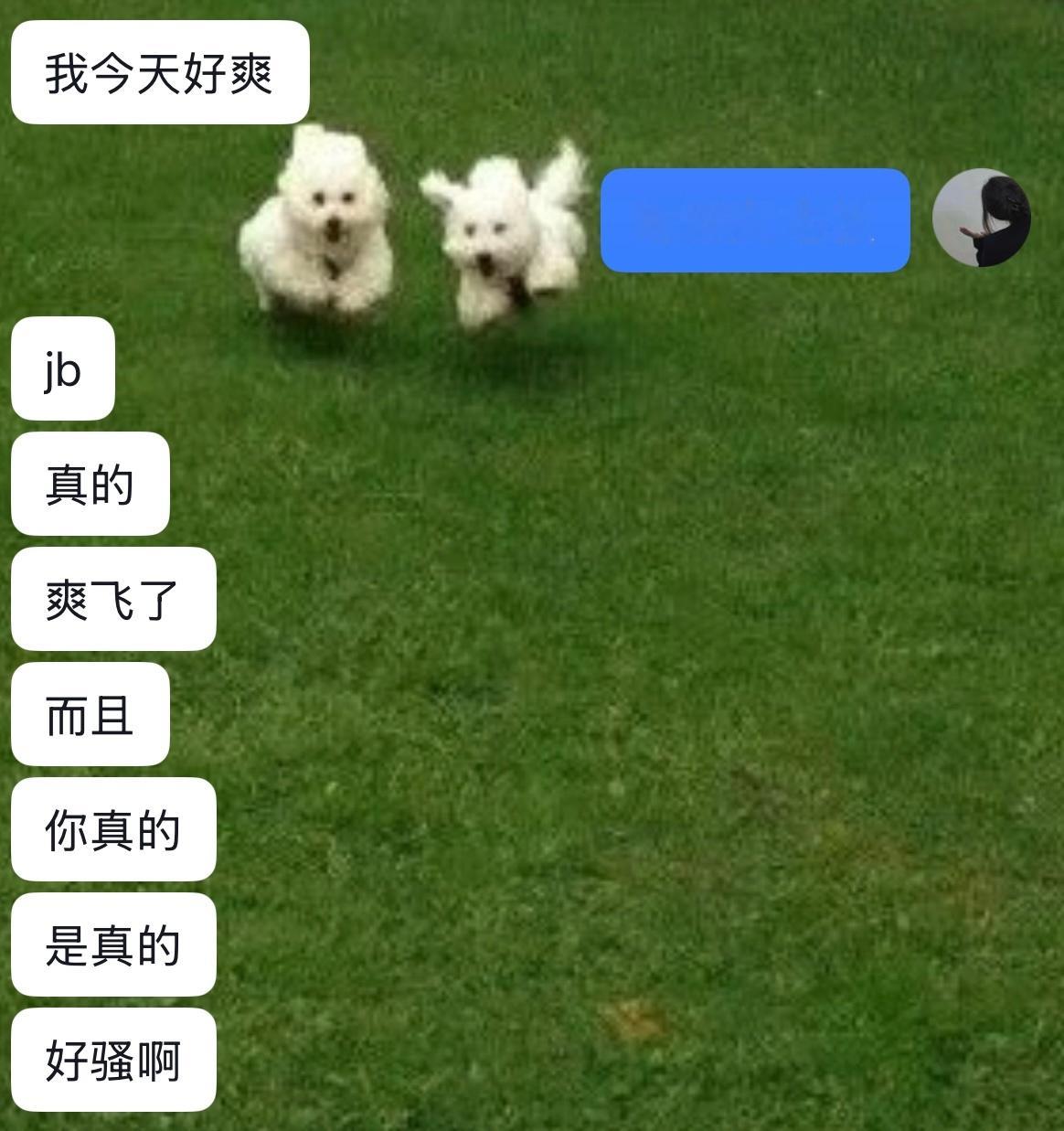 老板又在回味 