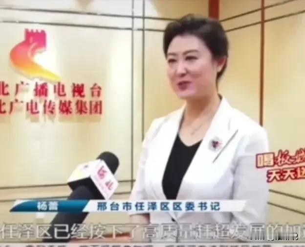 河北省邢台任泽区美女书记杨蕾

杨蕾现年44岁，管理学博士，其学历、形象不输怀来