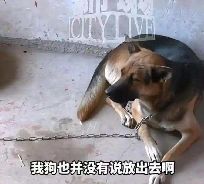 江西，一9岁男孩去邻居家串门，刚跑进去就被邻居家拴住的狗咬伤，母亲要求赔偿，但邻