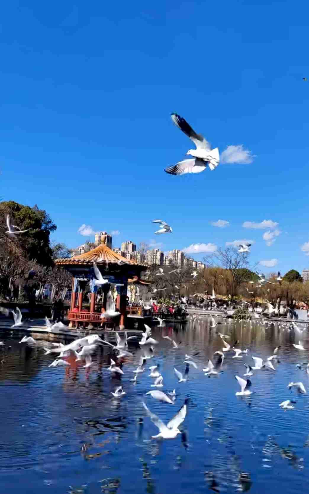 我的今日状态：😁轻松愉快
我这里的天气：☀️晴天