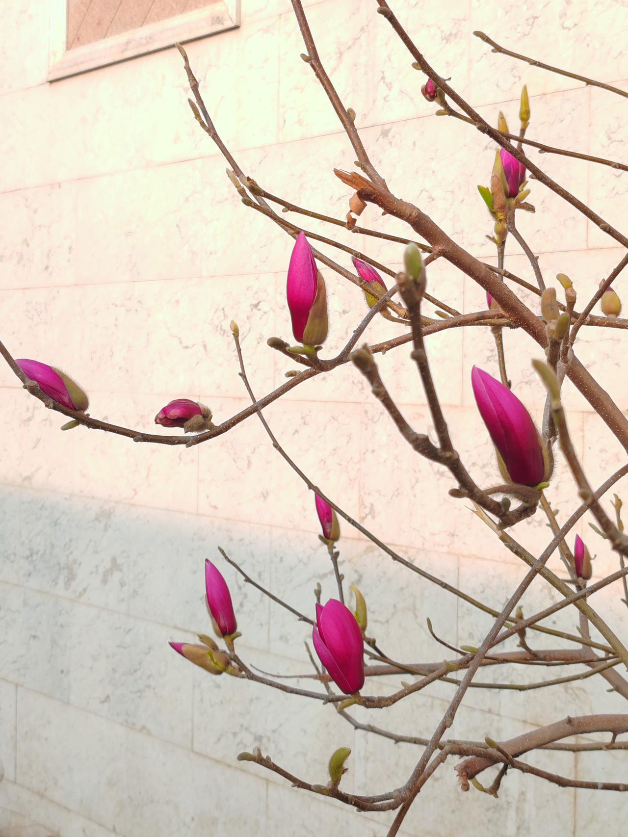 看到这副对联“有吃有喝心满足，无病无灾人幸福”，横批“康泰人家”，真是太贴切了。