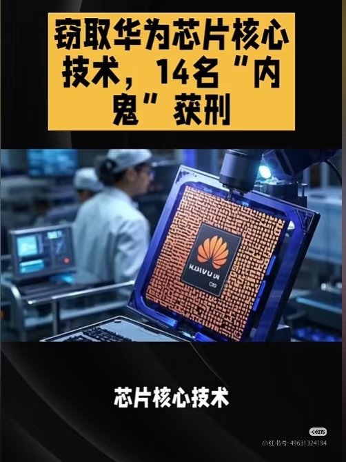 14名内鬼侵犯华为芯片技术被判刑判的太轻了，背后的金主也应该查查[doge] ​
