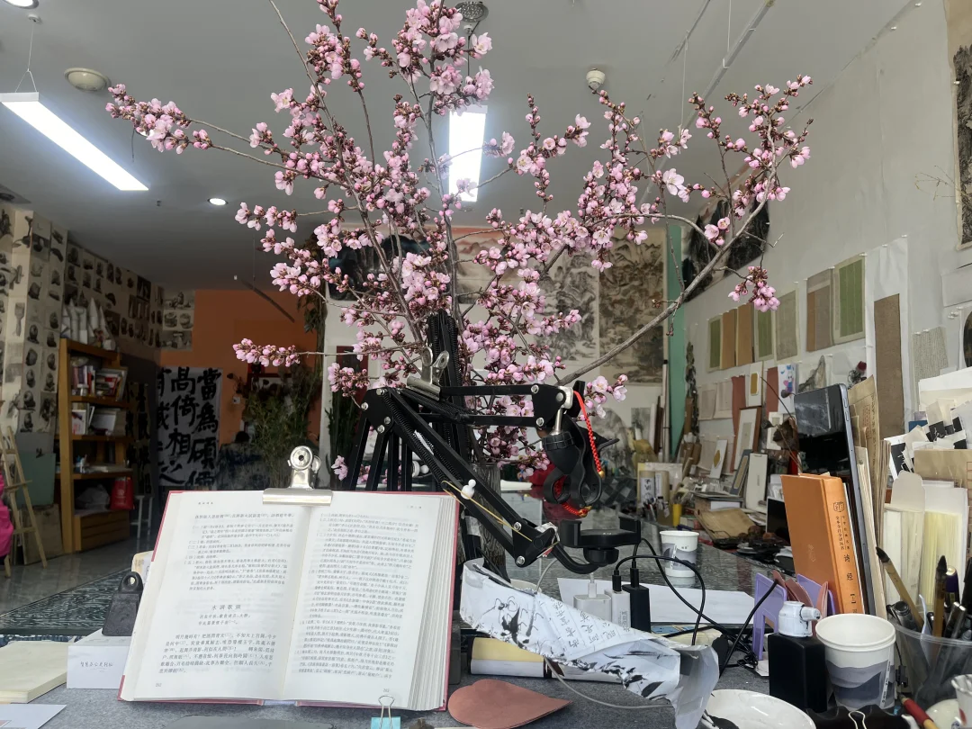 想看看大家的书桌