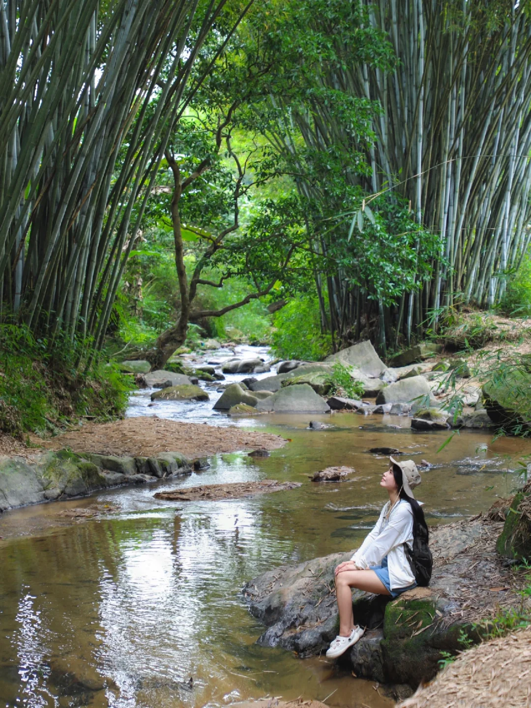 广州免费竹林玩水溯溪秘境🌿市区半小时直达