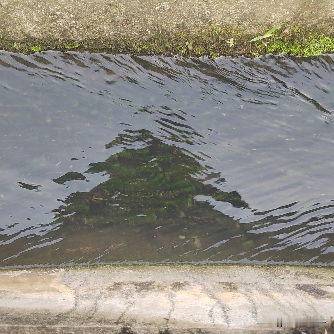 以前工作忙，没时间，同学之间还时不时举行聚会。现在退休了，时间多得很，却没什么人