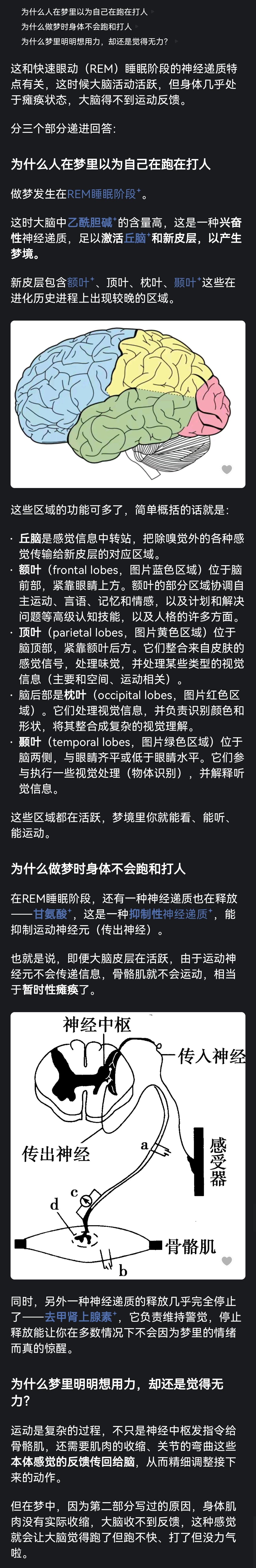 为什么人在梦里跑不快、打人没力气？原来如此。