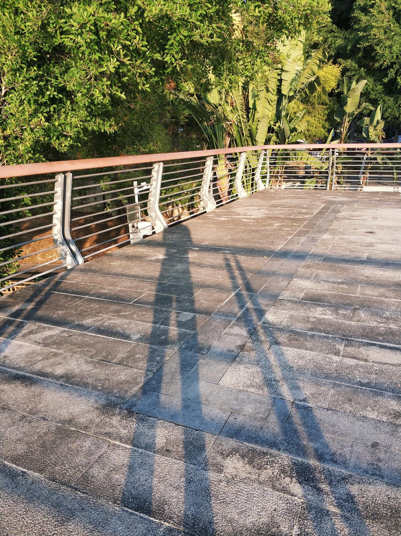 退休了，最好不要参加这3个活动，不然会后悔。
头一桩就是“交谊舞”。
为啥？里头