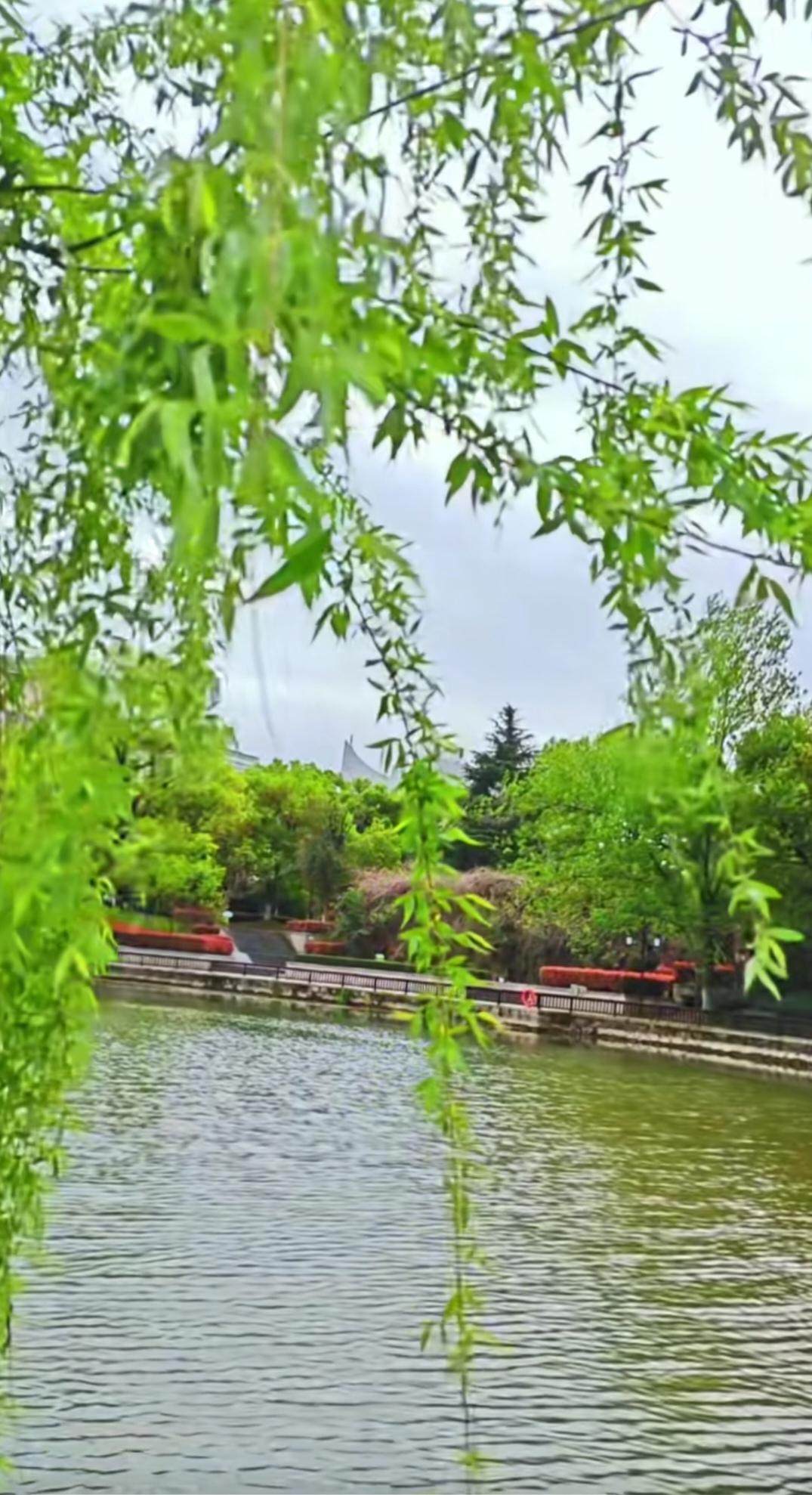 邻居强占宅基地，这事儿谁碰上都闹心！咱得依法维权。
首先可以先礼后兵，带上宅基地