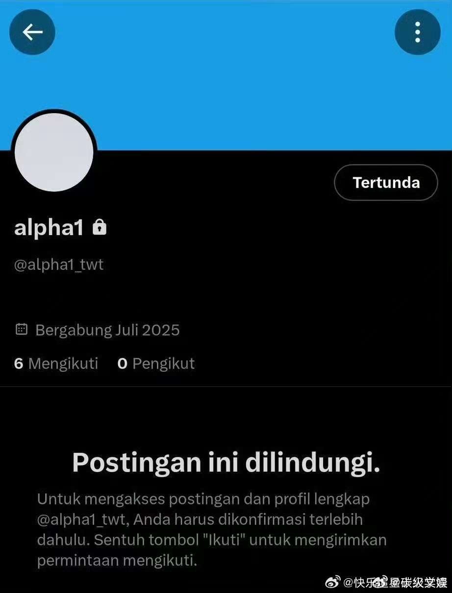 男宝2出道组合名疑似叫alpha1男宝2出道组合名疑似alpha1男宝2出道组合
