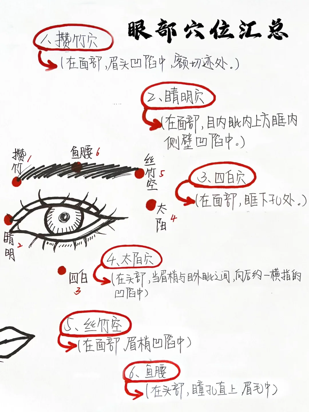 护眼自救手册：用中医知识缓解眼睛疲劳