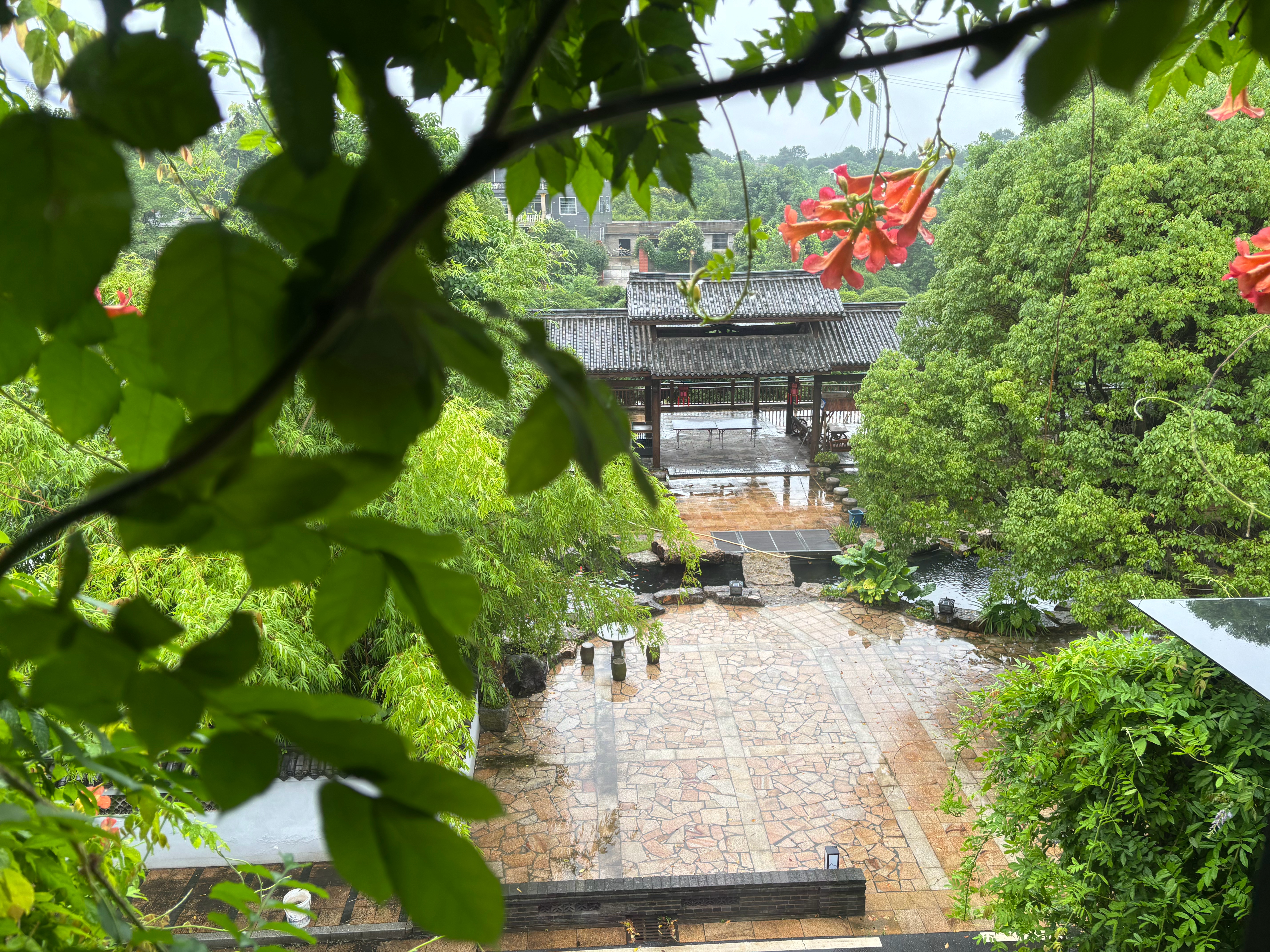 又是下雨的一天！ 