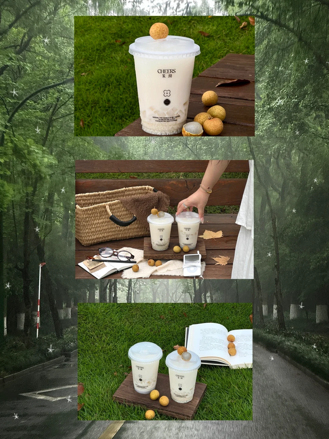 雨后 去公园感受秋天🍂