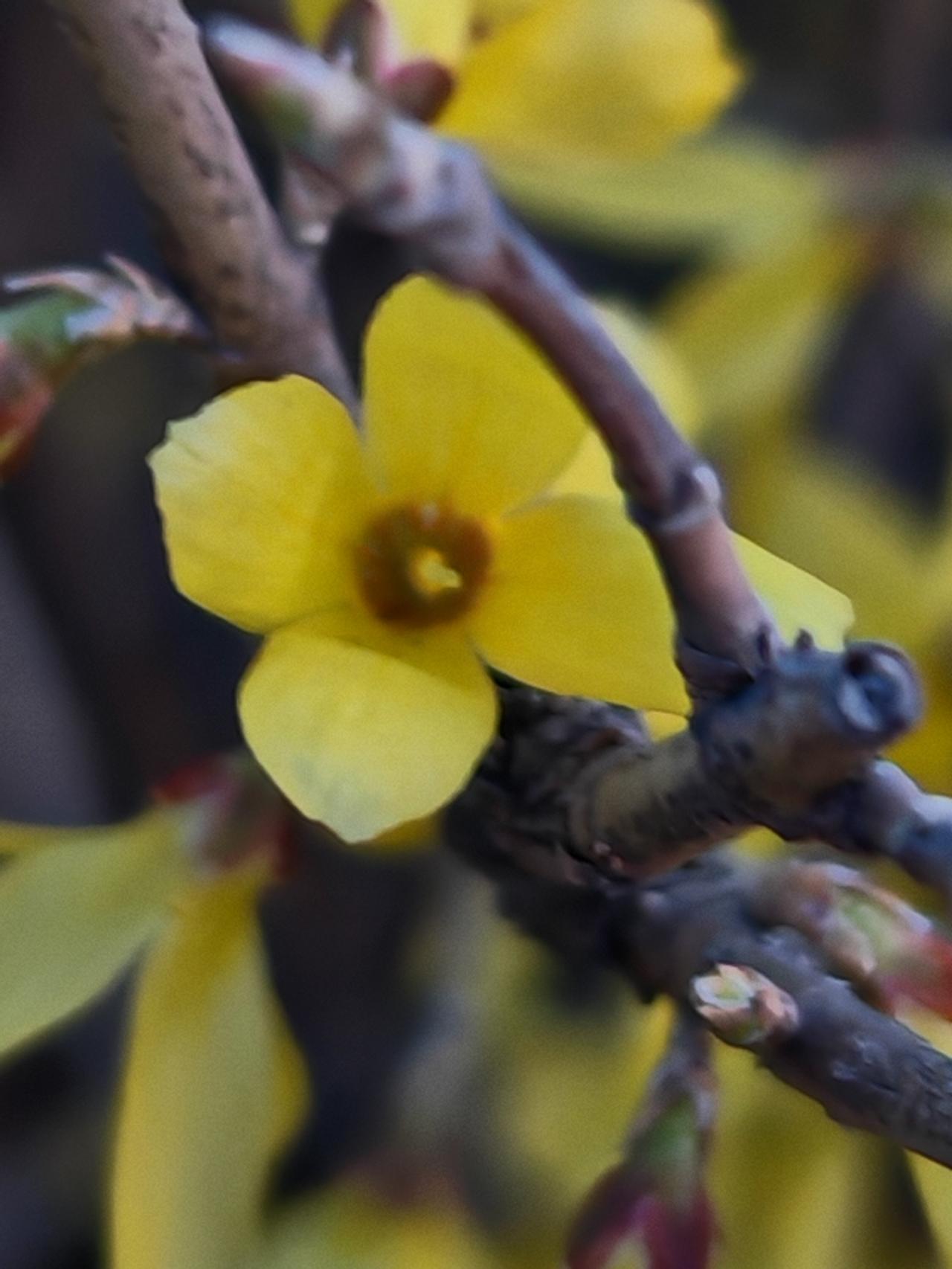 与痛风斗争的历程221
 
   今天是周日，早上起得很晚，懒懒地赖在床上不想起