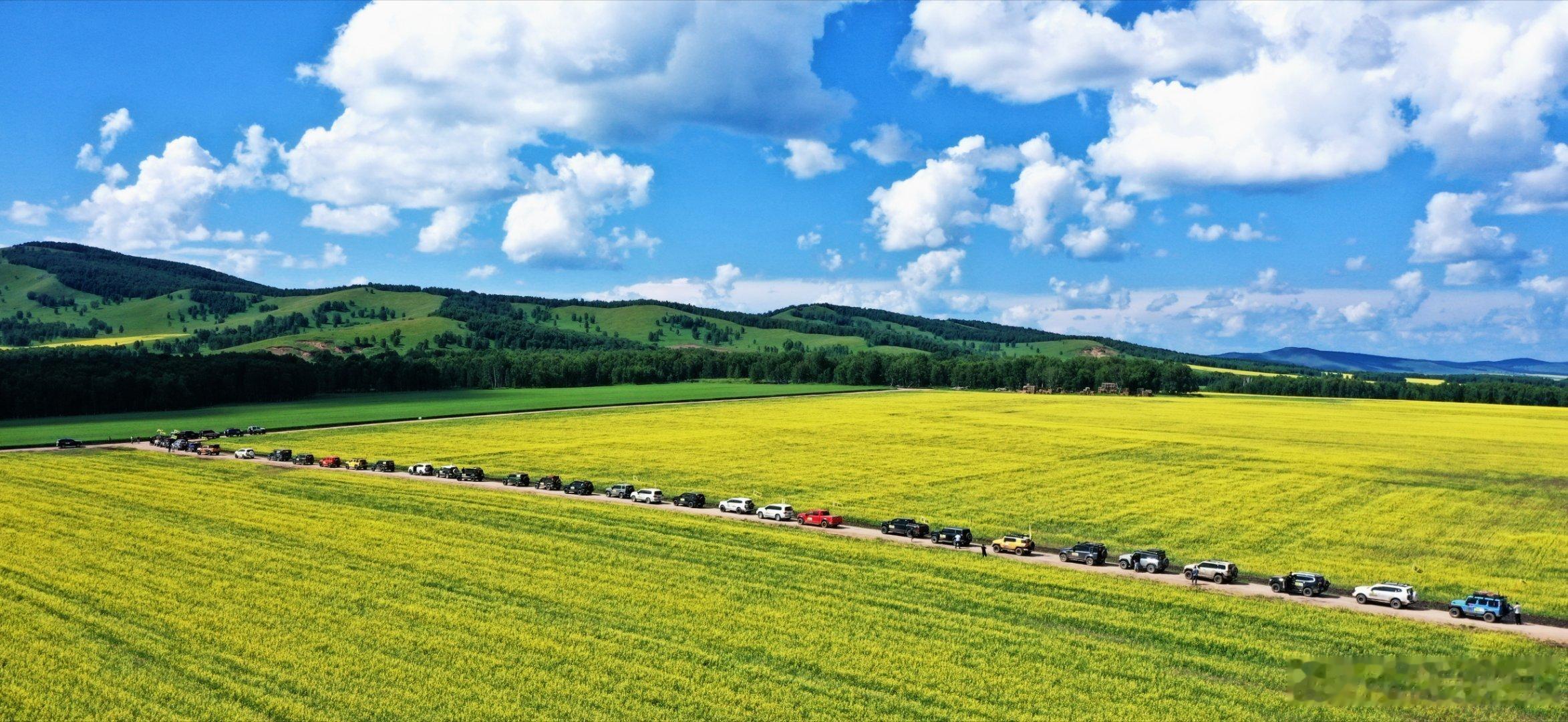 这次我们运良组织全国运良车友参加草原英雄会，我发现一个问题，和以前比，来的坦克车