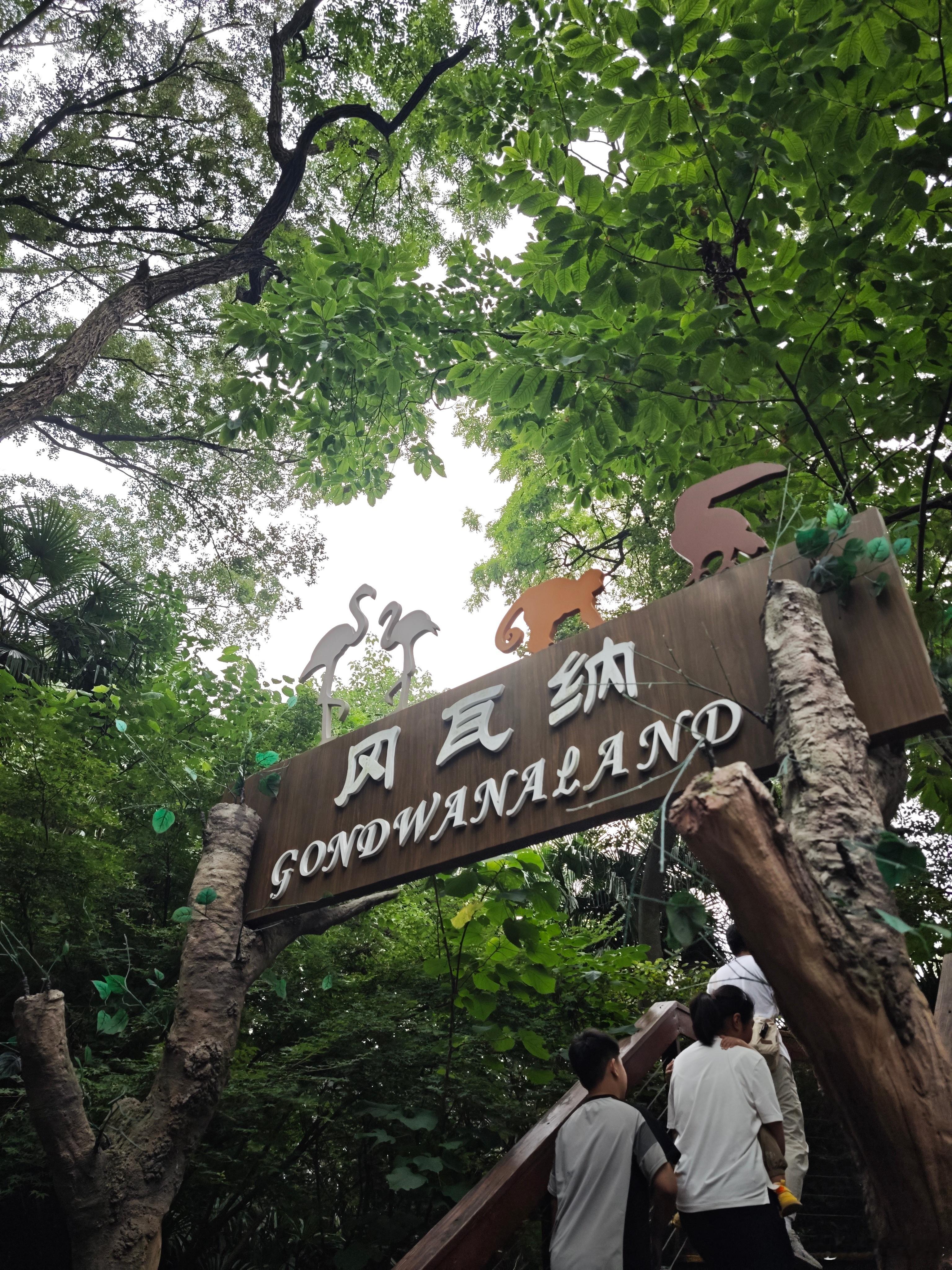 才发现原来冈瓦纳这么好去啊早就去过了（不知道有多少人知道这个梗哈哈哈 