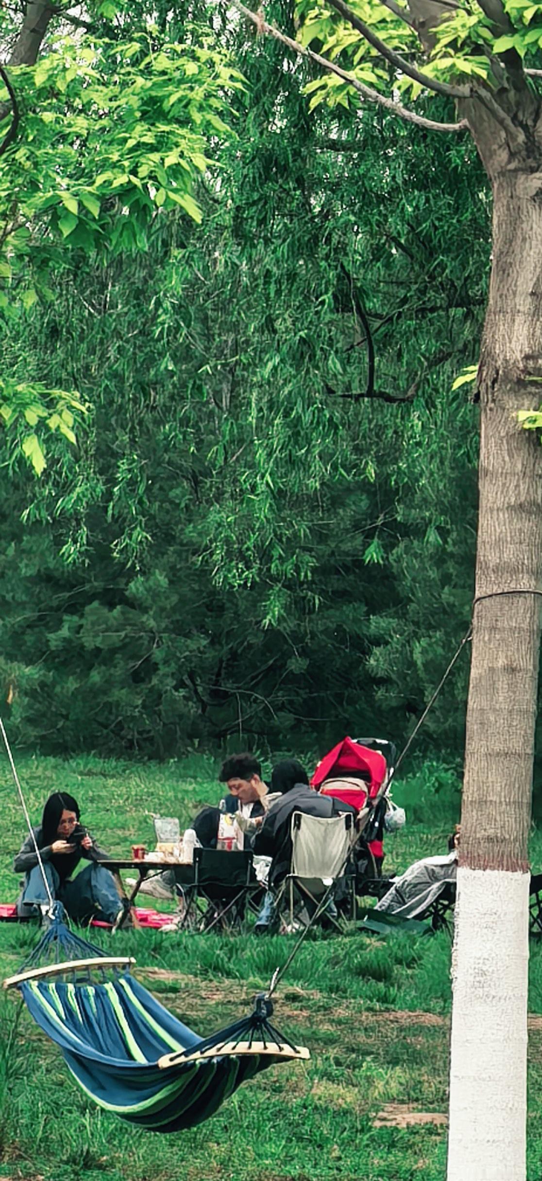 今日宜：躺吊床，吃零食，听风说话。把春天装进野餐蓝里，和快乐撞个满怀。