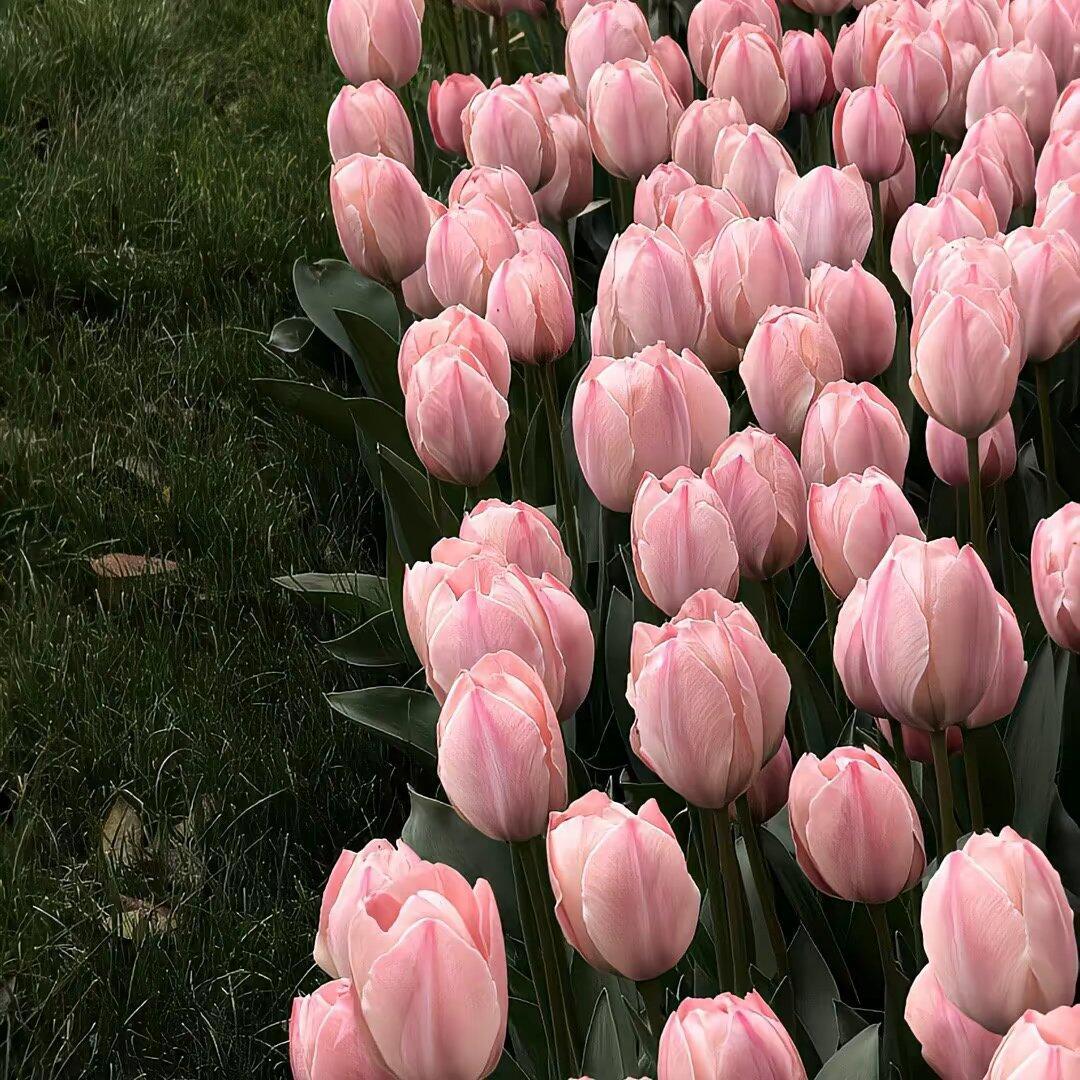 电影里所有的遗憾和错过，都会有一个结局和解释，但生活里没有。 