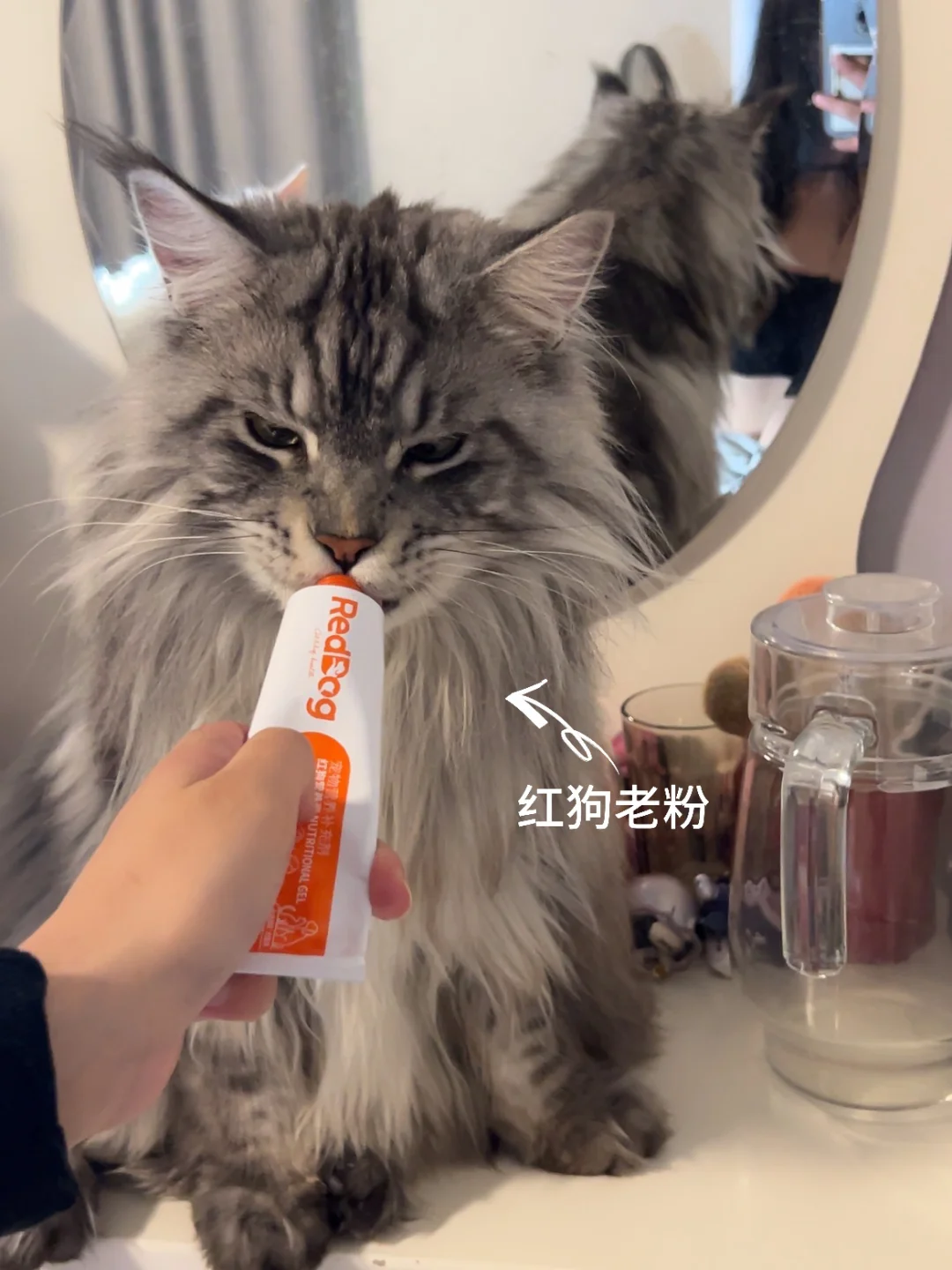 听说出新化毛膏了？？