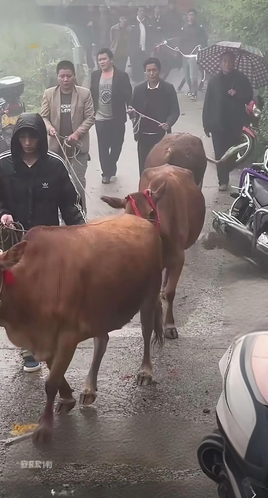凉山这个地方很神秘

明明看着是大山连大山，山很高很大，人们居住在山顶上。

真