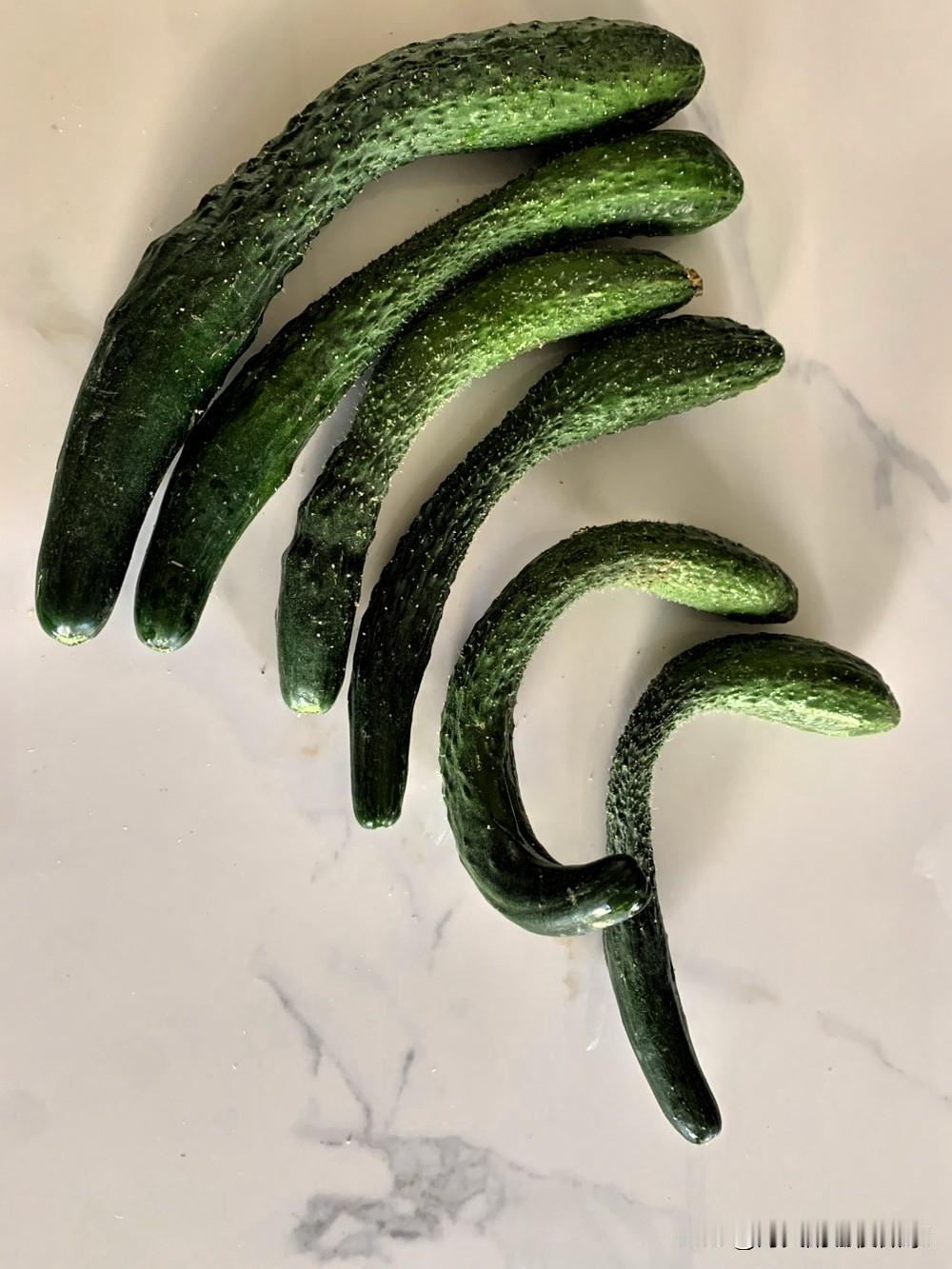 同事给了几根自己种的菜，不打药的，就这样歪瓜裂枣的，味道就是小时候吃过的那种味道