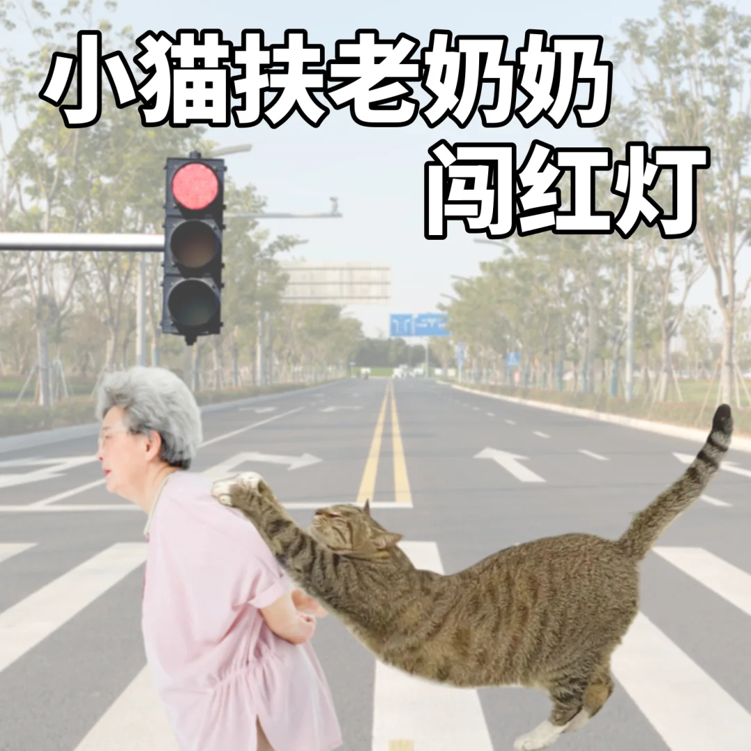 缺德小猫表情包