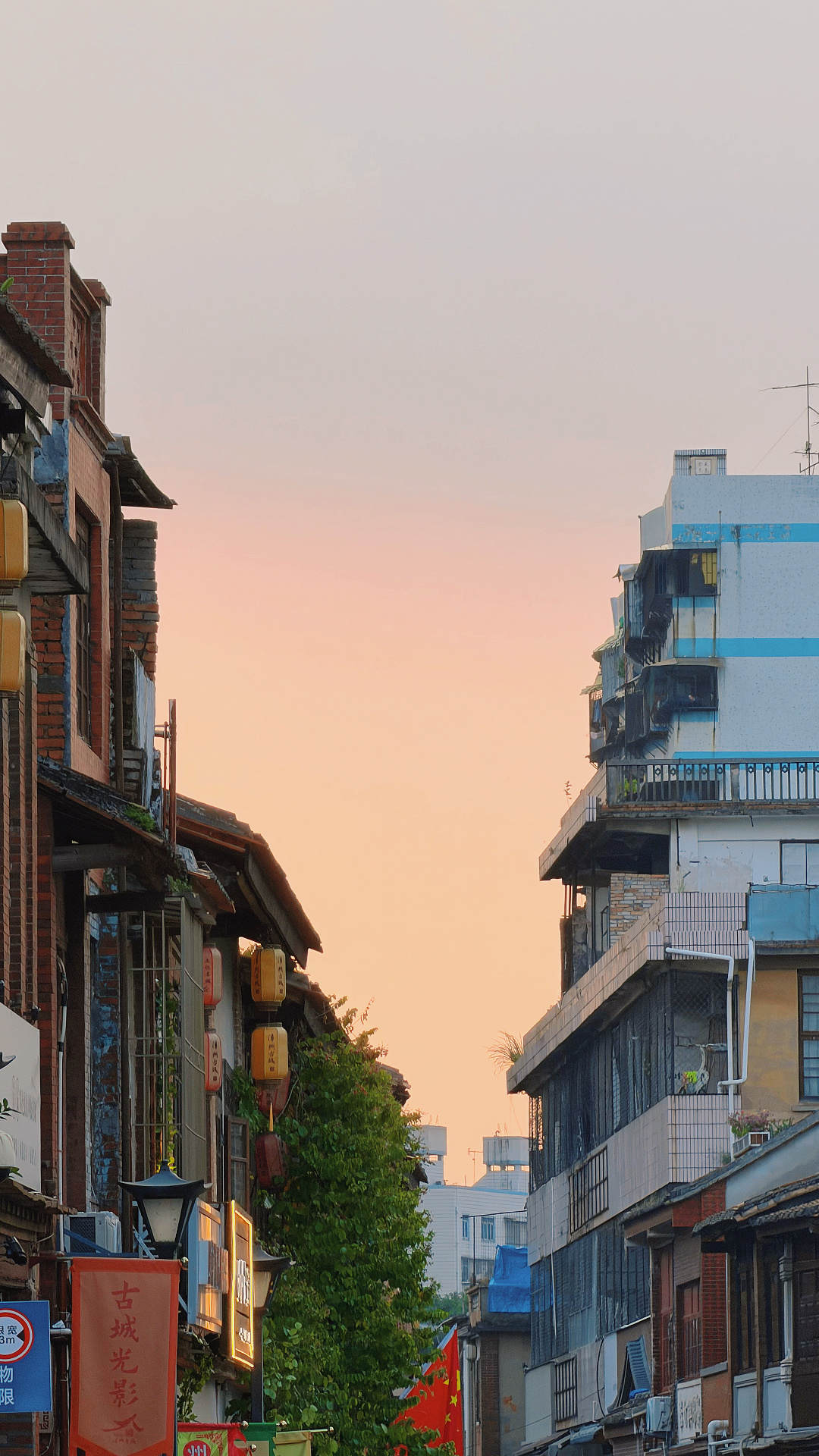 散步 吹风 看日落 小狗与爱年轻人主打躺平式本地游plog[超话] ​​​