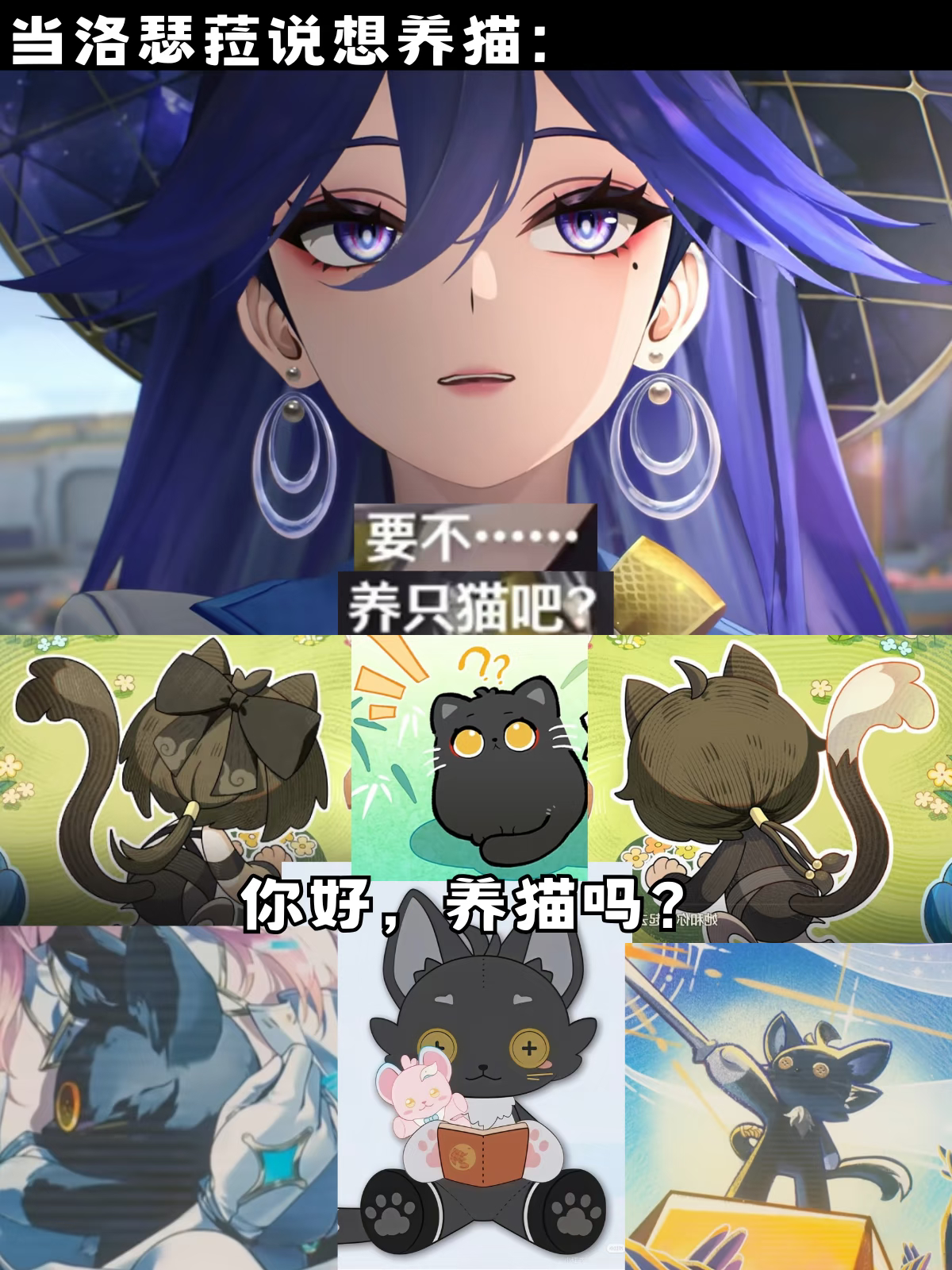 听到洛瑟菈说想养猫的漂泊者belike:鸣潮3.4版本鸣潮洛瑟菈鸣潮3.4创作激