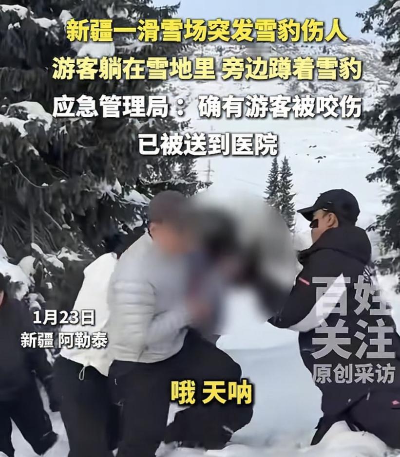 牌子清清楚楚的写着请勿靠近，为什么还要进去！发生在新疆的这个雪豹伤人事件，我发现