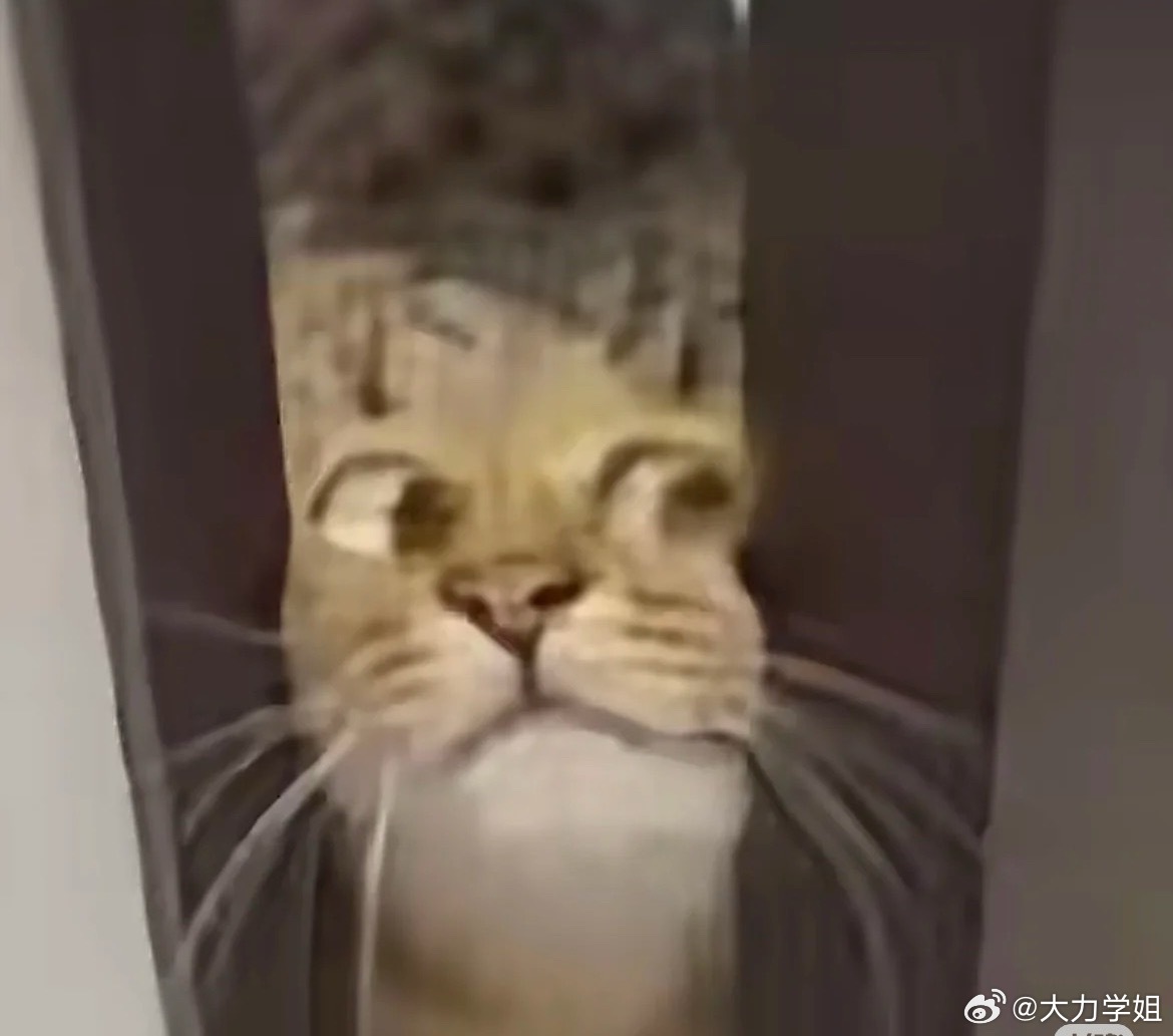 今年以来最强台风来袭我怎么就刚好24号回广东[傻眼] ​​​