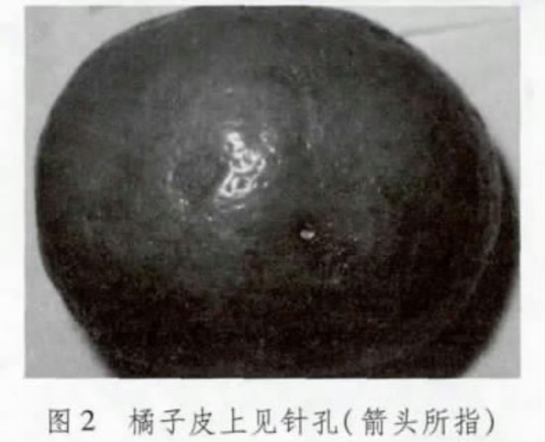 1岁宝宝误食含老鼠药鸡蛋父亲发声¹ 看过几乎一模一样匪夷所思的投毒案！也是邻居！