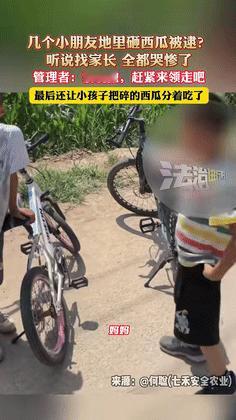 “笑麻了！”浙江，几个小孩哥瓜田砸西瓜被逮到，一听瓜主要叫家长吓得嗷嗷哭！不料，