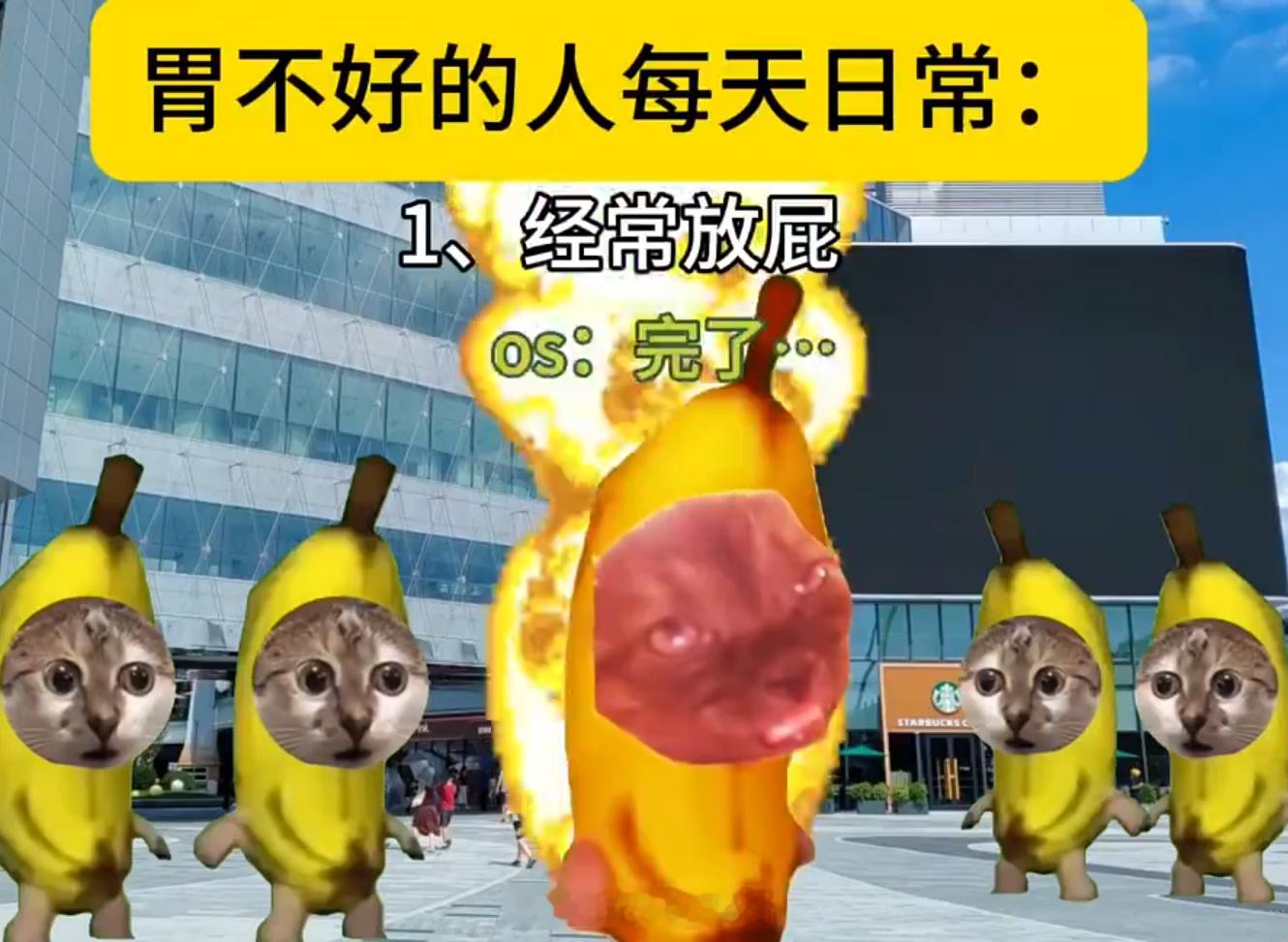 胃不好的人每天belike 对不起哈哈哈哈经常放屁是真的受不了啦