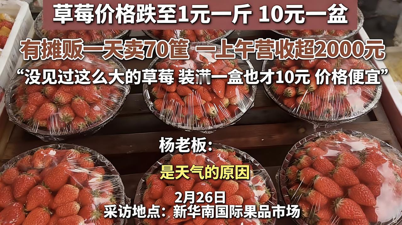 武汉草莓“跳楼价”！1元一斤，10元一盆，网友：实现草莓自由了。
 
最近武汉的