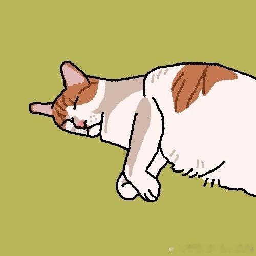 49241【丑猫】给家咪约了雷霆大稿桀桀桀（测报你已经拒了我好几次了！我给你塞咪