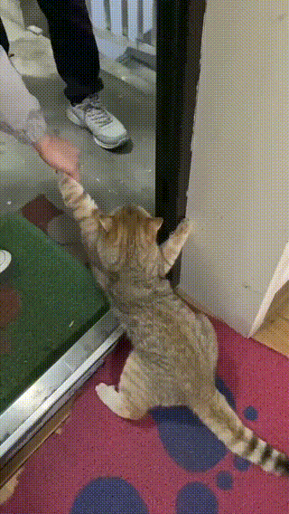 我不想出门，坏人！