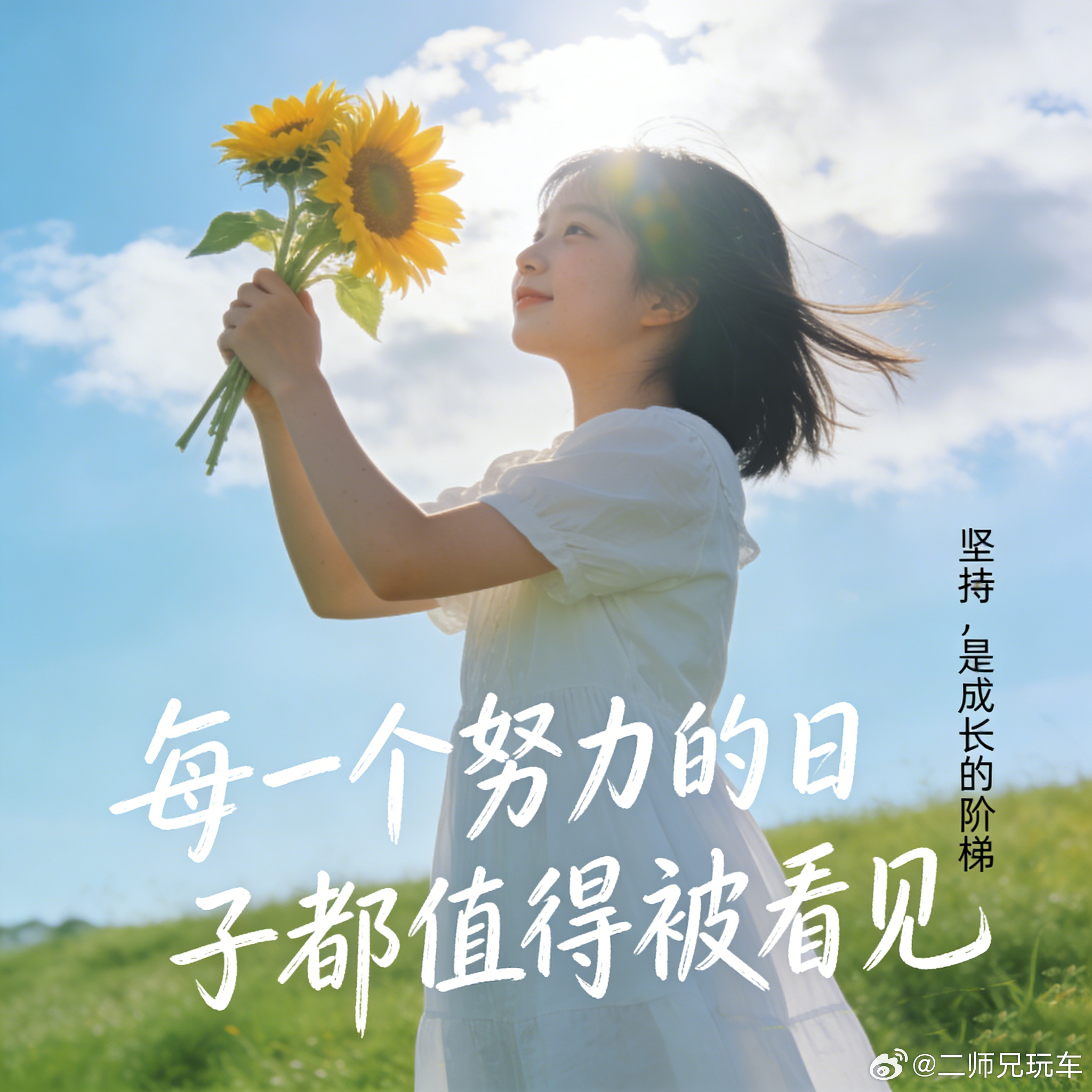 二师兄“各抒己见”系列之：新手司机买车后排娱乐屏是你的购车必选项吗？欢迎评论区说