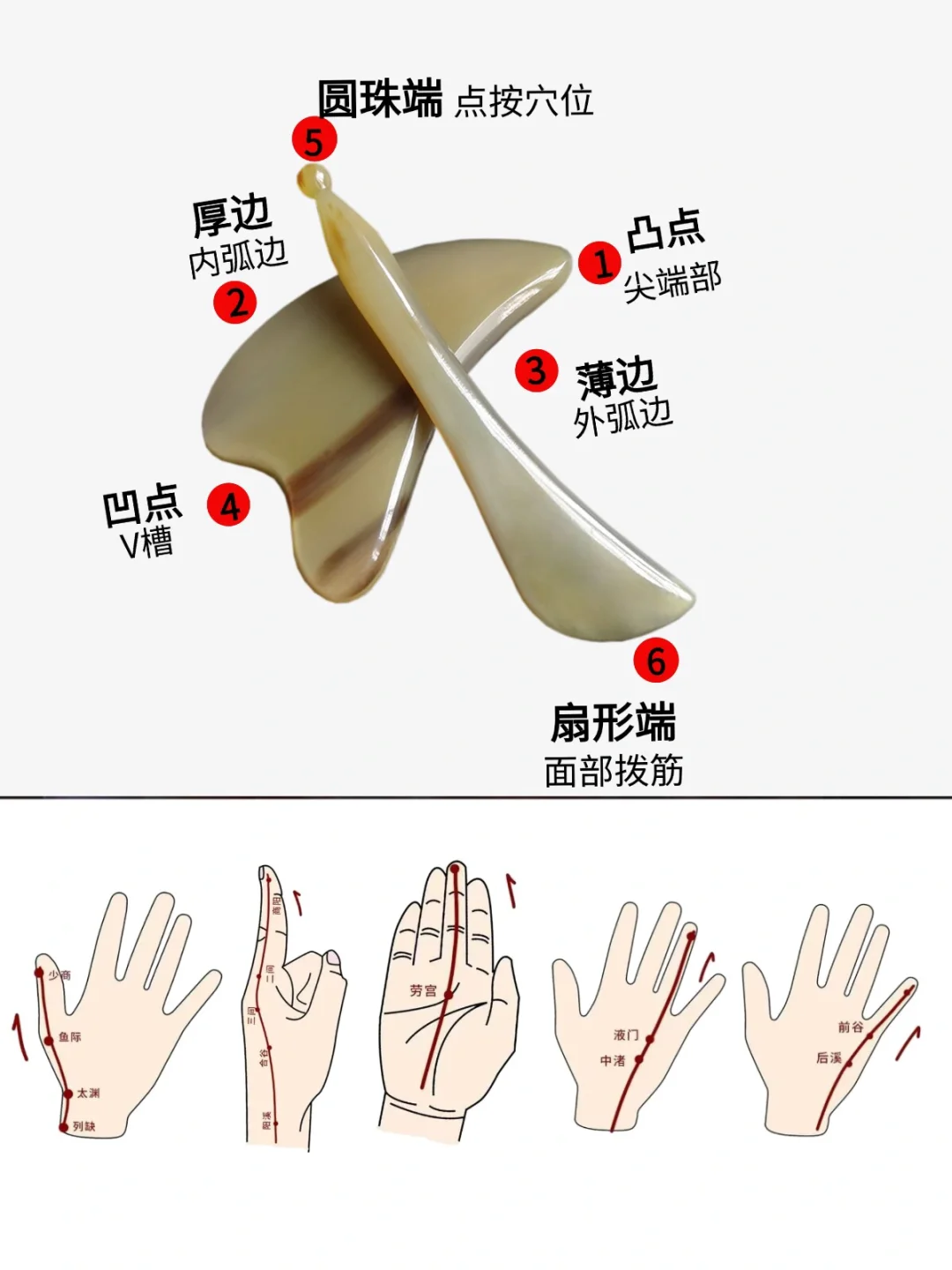简单手指刮痧，轻松疏通经络，牛角刮痧板使用