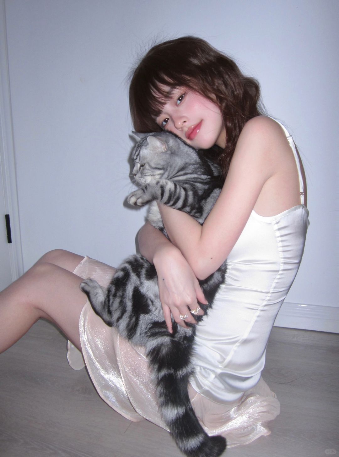 晚安啦 小猫