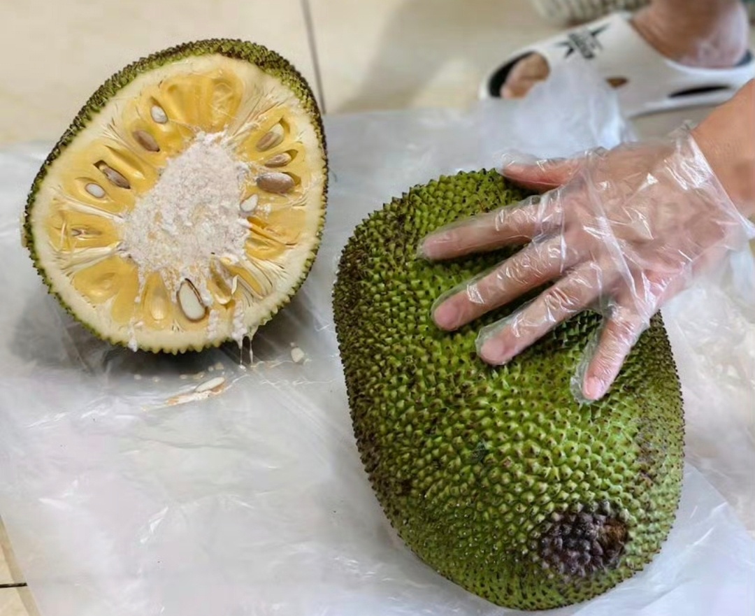 切完菠萝蜜的刀终于有救了之前切完菠萝蜜都是拿油抹，拿油反复的抹，直到把上面的粘液