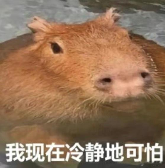 基金  2026年2月12日个人思路  a股基金很多老板表示不看好节后行情，甚至