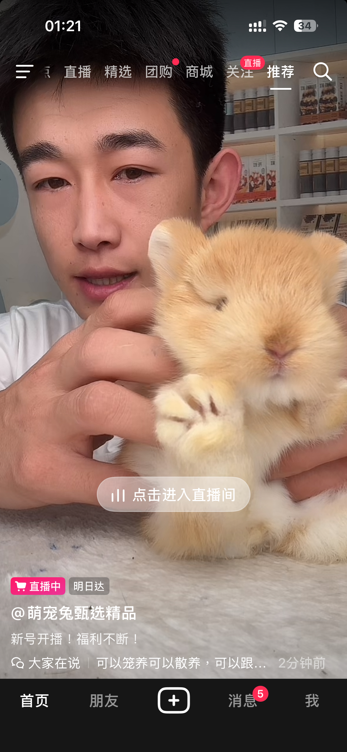 好喜欢看别人卖兔子 