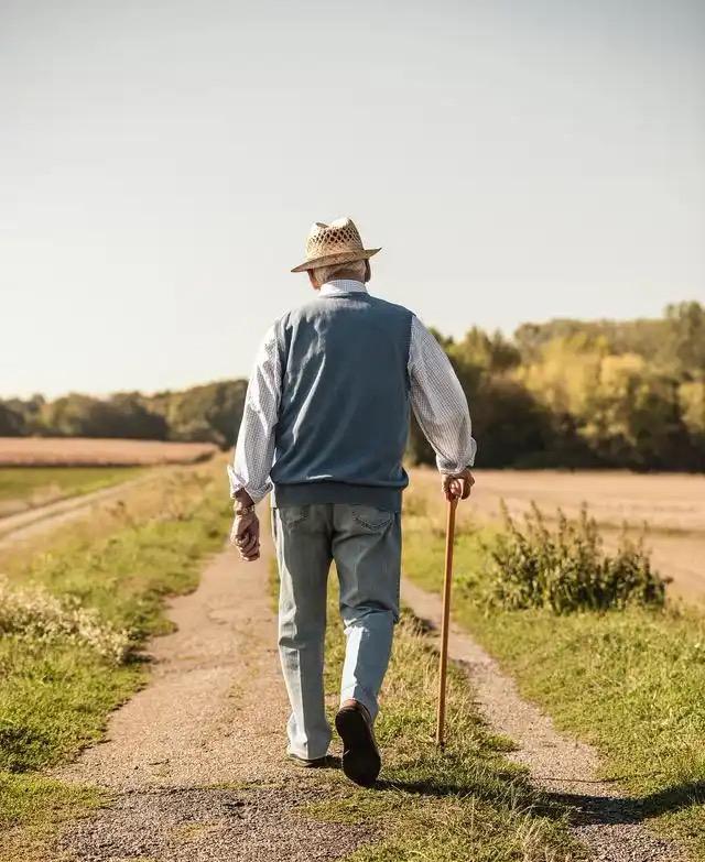 一位养生专家说：“不要追求什么大富大贵，大富大贵的背后，是大灾大难。人应该像麻雀