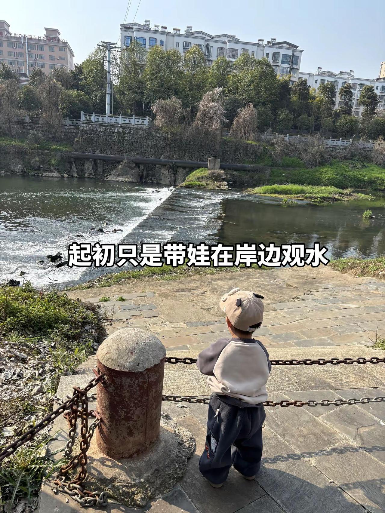 今天好幸运！看到鱼跃龙门了！见者好运！逆流而上 锦鲤附体 好运连连