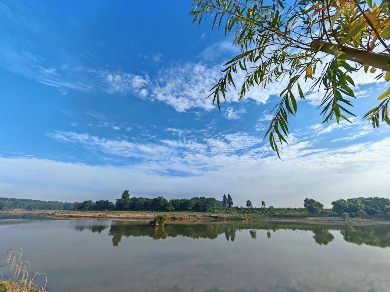 云梦涢水湿地初夏生态美景入画来。6月，云梦涢水国家湿地公园清明河乡桂花村段，正是