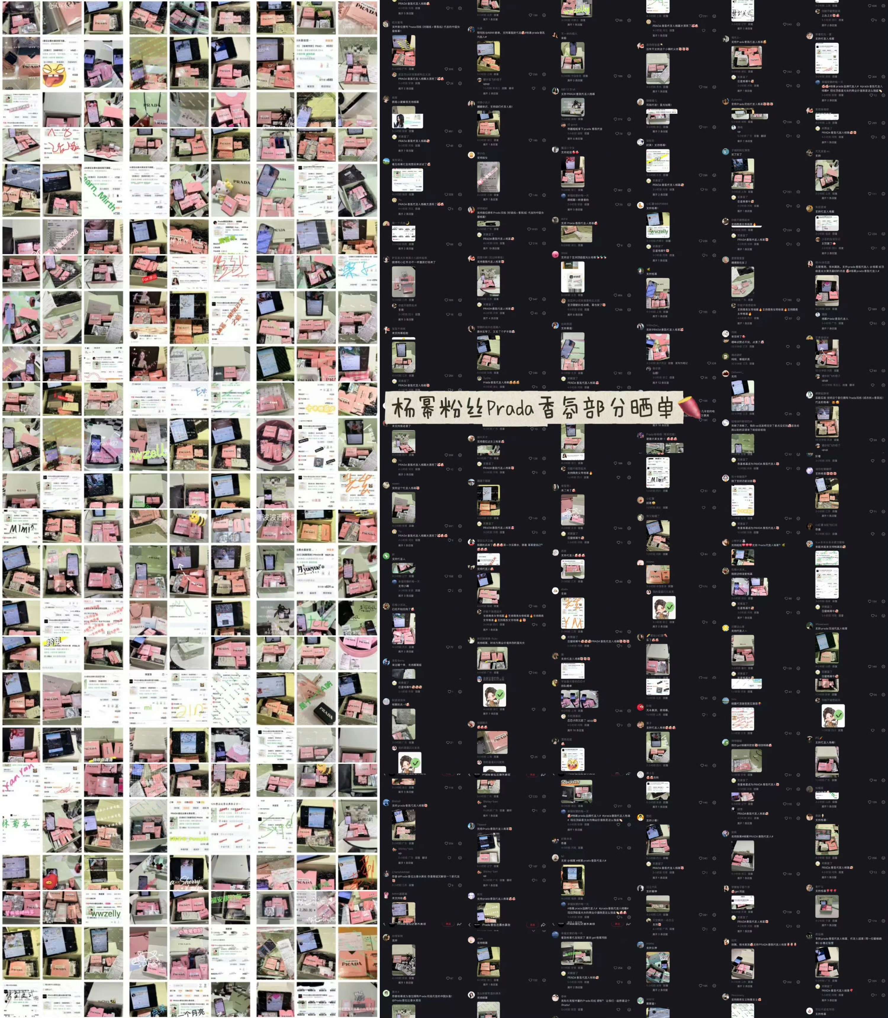 密密麻麻的全是杨幂粉丝晒单，Prada🍠那条评论区点赞点不完晒单翻不完！路人：