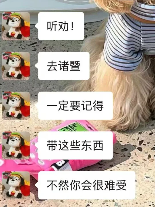 来诸暨前👏一定要记得带这些东西