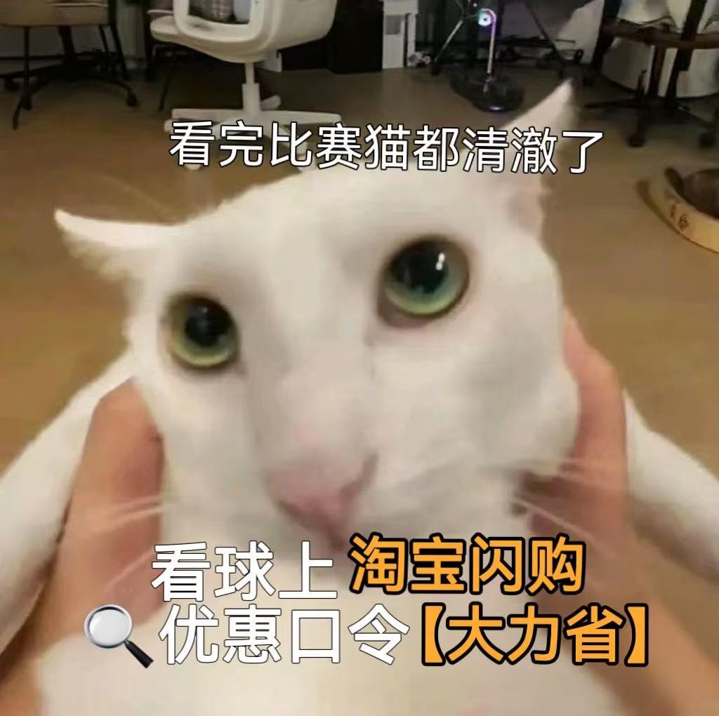 西班牙冠军西班牙vs阿根廷 熬完整场决赛天蒙蒙亮，西班牙加时绝杀拿下冠军，激动过