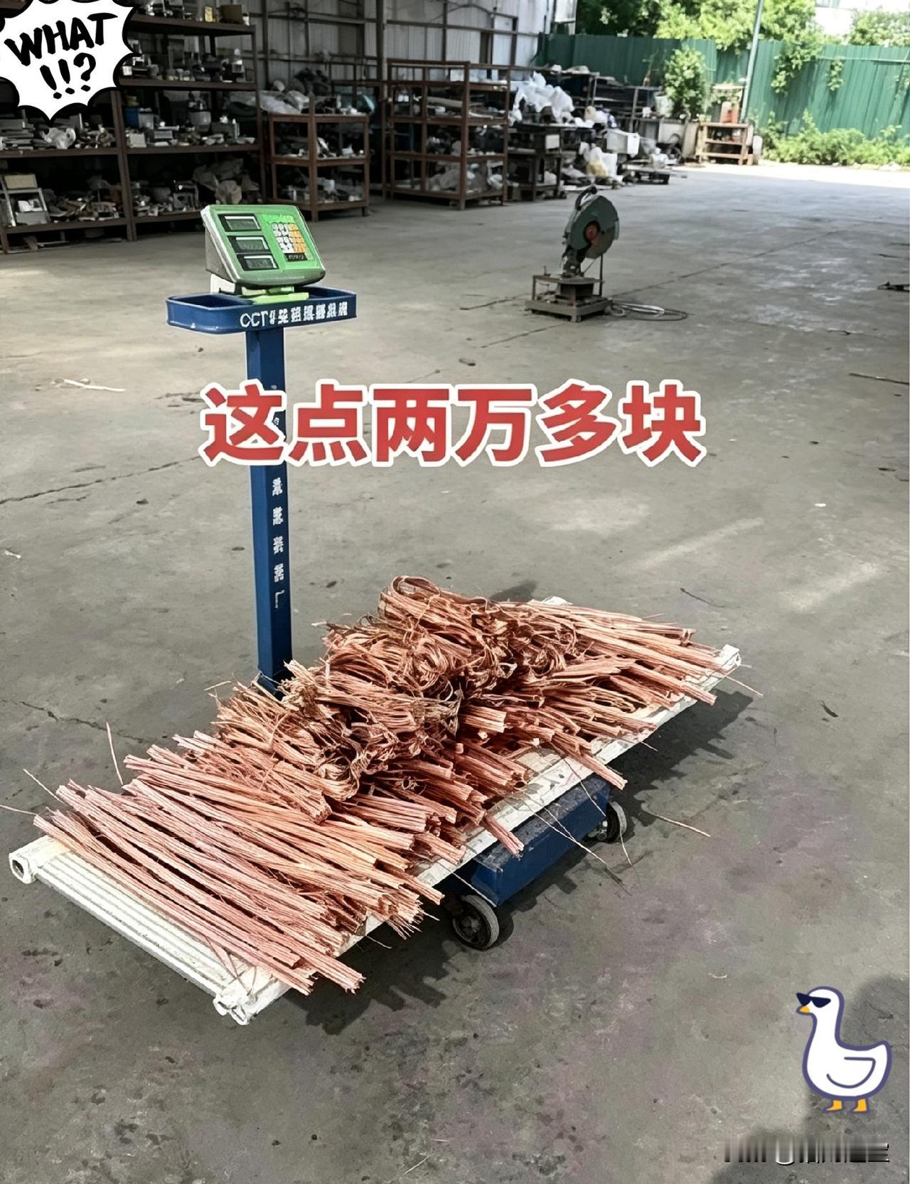 谁能想到现在废铜的价格竟然涨到这么吓人！眼前就这么一小堆紫铜，往秤上面一放，直接